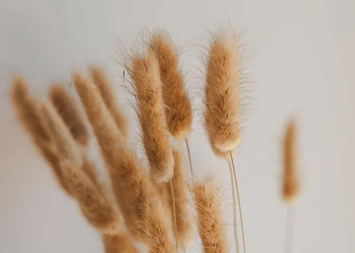 Otel Naxos Tower Galanado